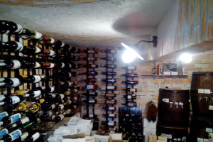 Casa Vinului