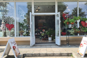 Florarie Cluj Dana