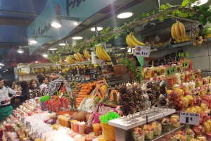 CASA BRANCOVEANU LIVRARI