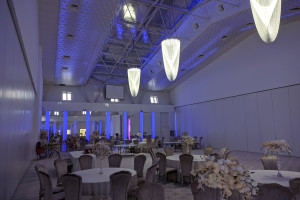 Magic Place Events - Grant