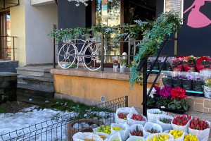 Florăria Maison des fleurs