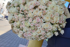 Lotus Flowers Shop