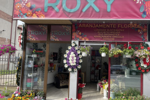 Florăria roxy