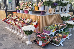 Florăria Echipa Lola