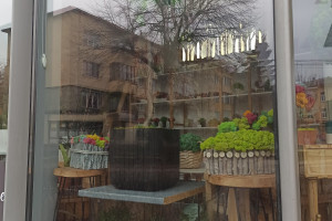 Florăria The Tulip & The Rose Shop