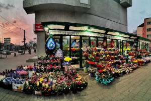 Floraria La Petruța
