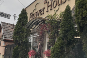Flower House Mures