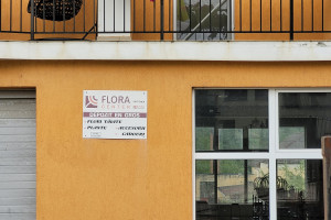 Flora Center