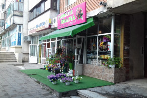Floraria Ioana