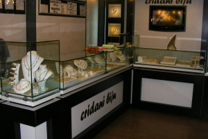 CRIDANI BIJU S.R.L.