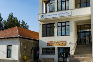 BAILArte Zalau
