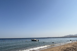 Savi Travel