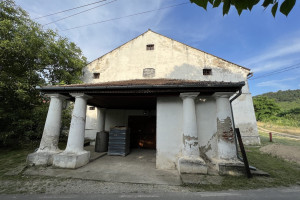 Cramele Miniș