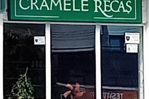 Cramele Recaş