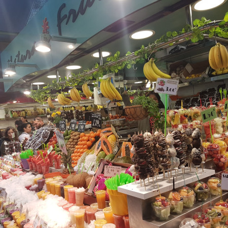 CASA BRANCOVEANU LIVRARI