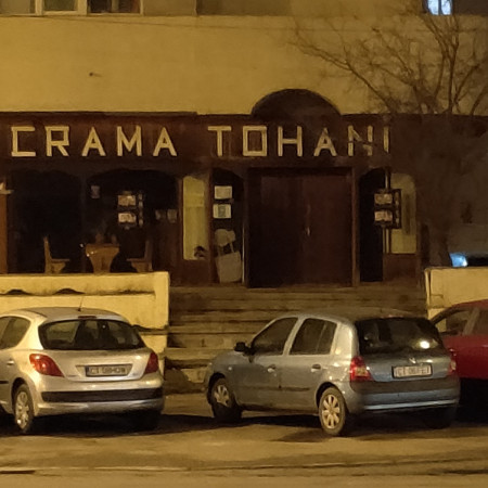 Crama Tohani Constanta - Vinuri de creatie