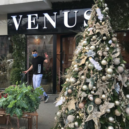 Florăria Venus