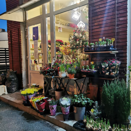 Aleyna Flower Shop