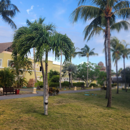 Booktravel - Agentie de Turism