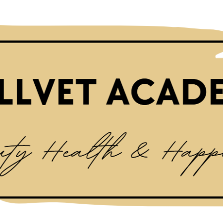 Vellvet Academy - Beauty, Health & Happiness