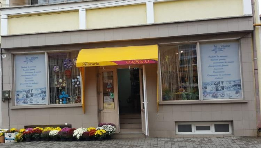 Photo Thumbnail