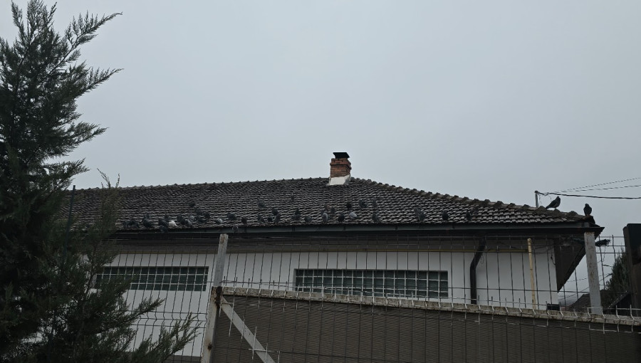 Photo Thumbnail